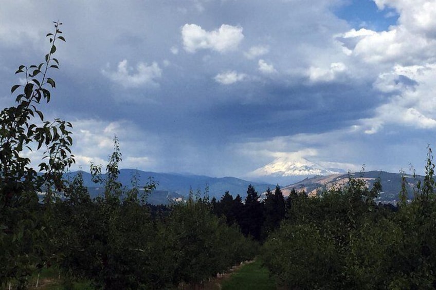 Full-Day Mt Hood Waterfall Tour with Lunch and Wine Included 4