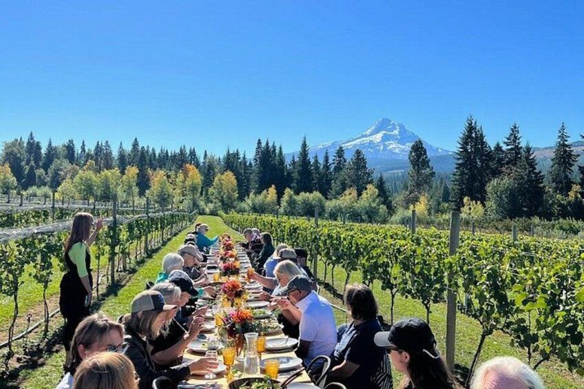 Full-Day Mt Hood Waterfall Tour with Lunch and Wine Included 1