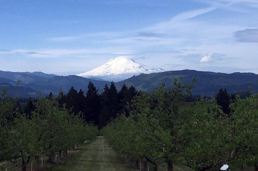 Full-Day Mt Hood Waterfall Tour with Lunch and Wine Included 4