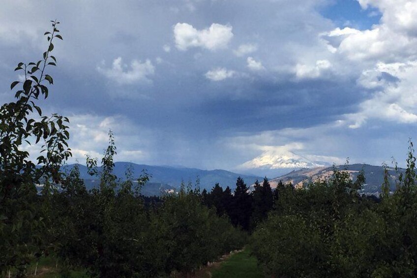 Full-Day Mt Hood Waterfall Tour with Lunch and Wine Included 4
