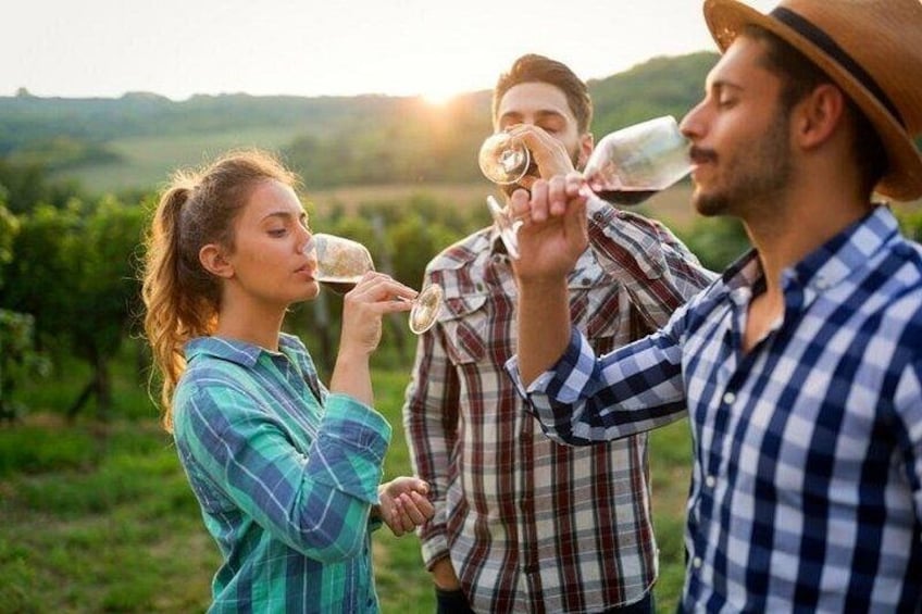 Three people holding hands and drinking wine in a vineyard. 2