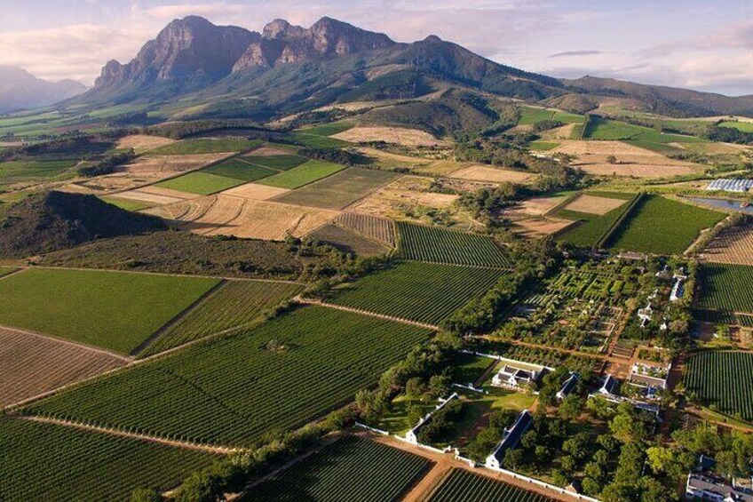 1 day Winelands Explore of Stellenbosch Franschhoek Paarl Regions