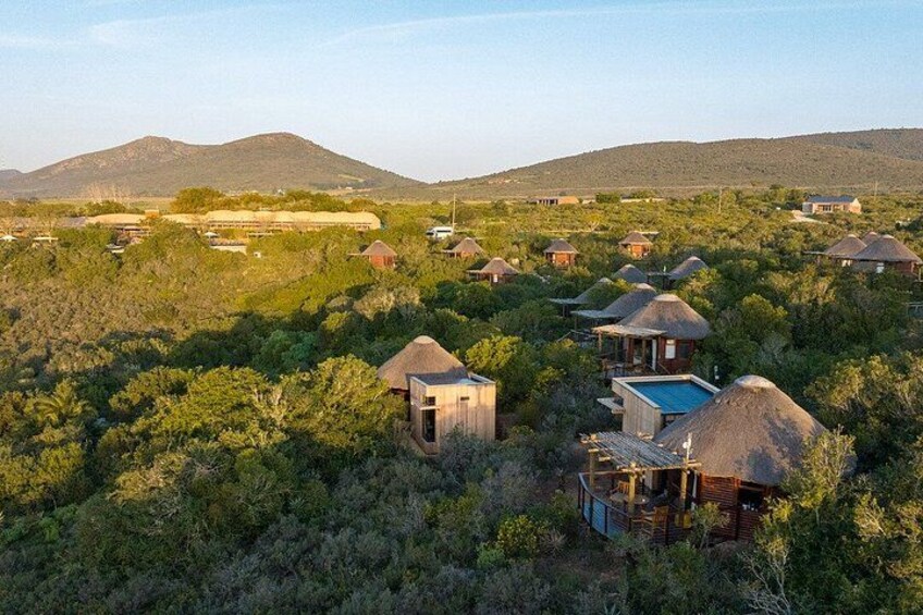 2 Day Safari Experience from Cape Town 2