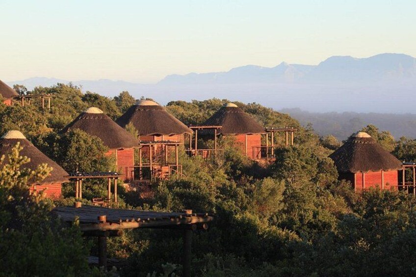 2 Day Safari Experience from Cape Town 1