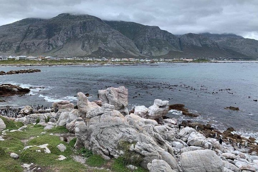 2 Day Safari Experience from Cape Town 2