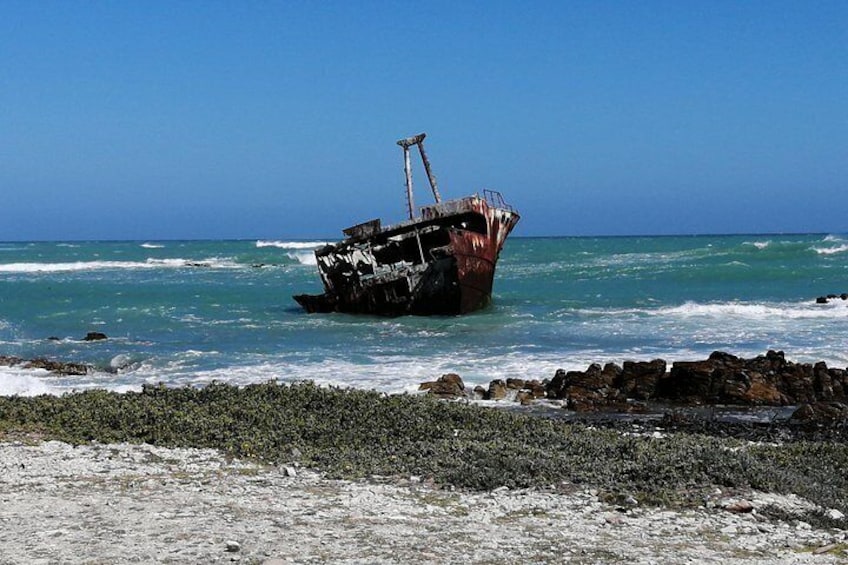 2 Day Safari Experience from Cape Town 3
