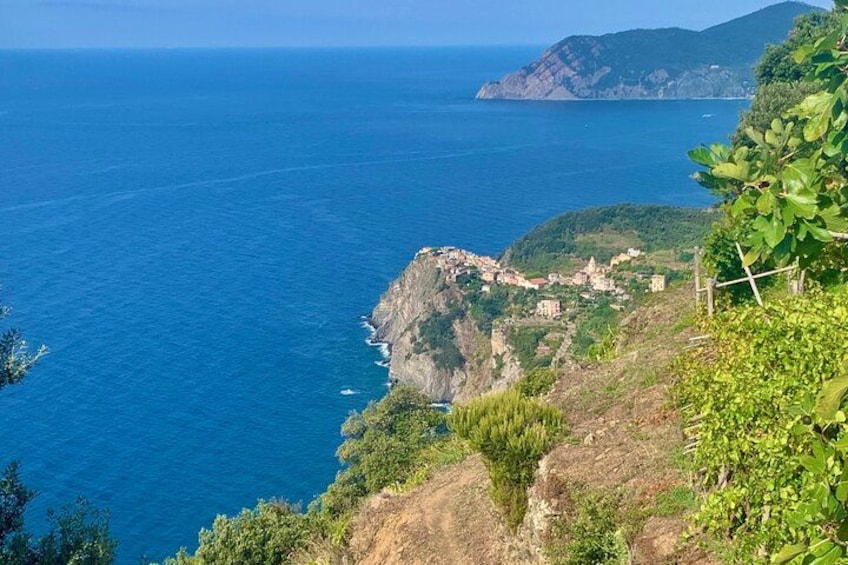 Cinque Terre Private Tour from Lucca 3