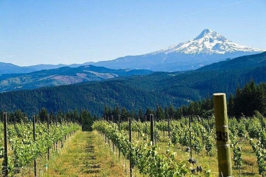Columbia River Gorge Waterfall Tour from Portland 3