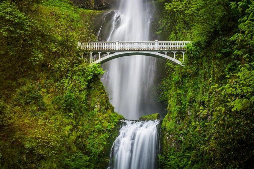 A bridge over a waterfall surrounded by lush greenery. 1