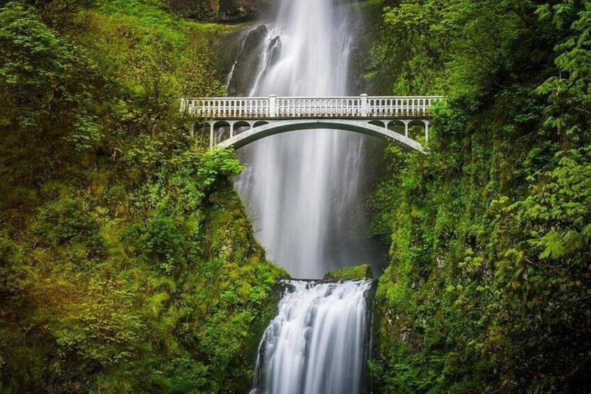Un pont enjambant une cascade, le tout entouré d’une végétation luxuriante. 1
