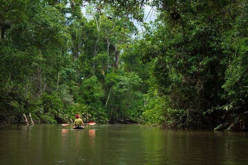 5 Day Cuyabeno Amazon Adventure 1