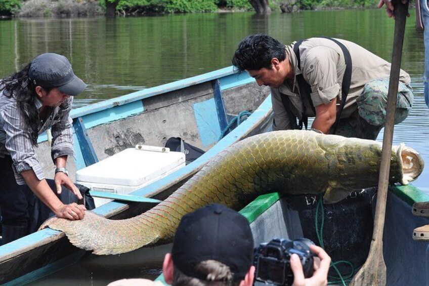 Fish found in river