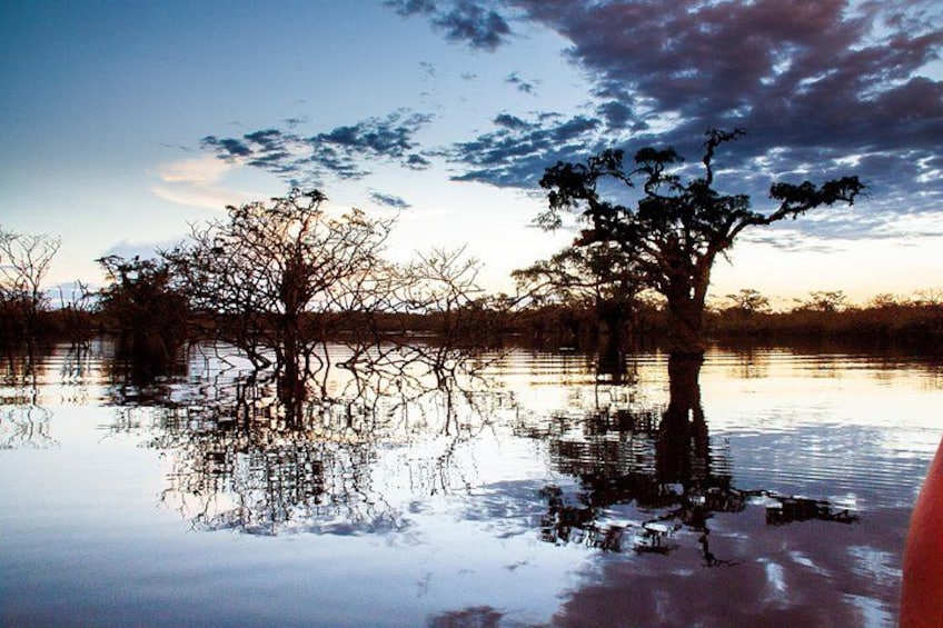 Un lago tranquillo con alberi riflessi nell'acqua, un cielo sereno e un orizzonte lontano. 1