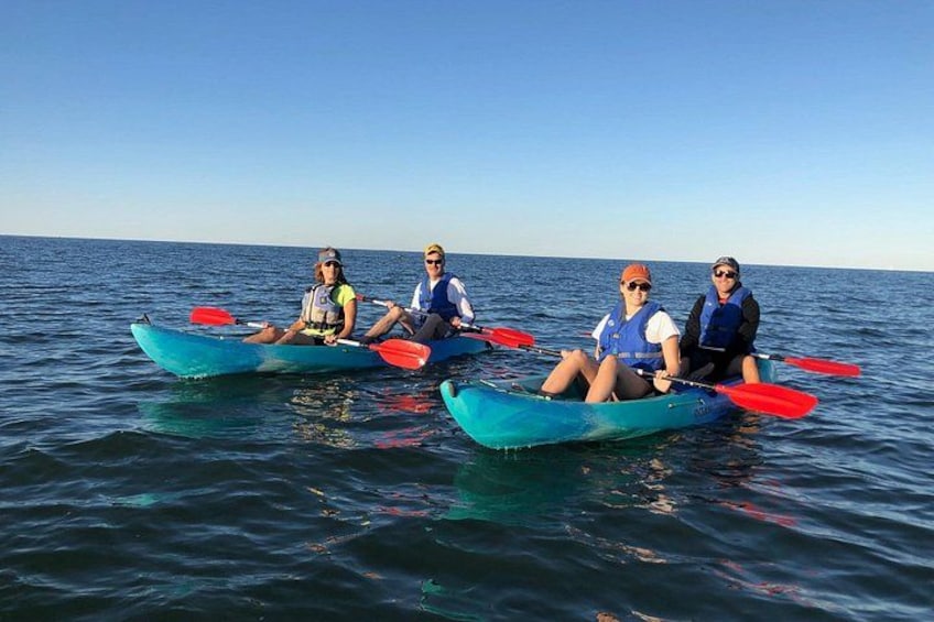 Four people in kayaks on a calm sea. 4