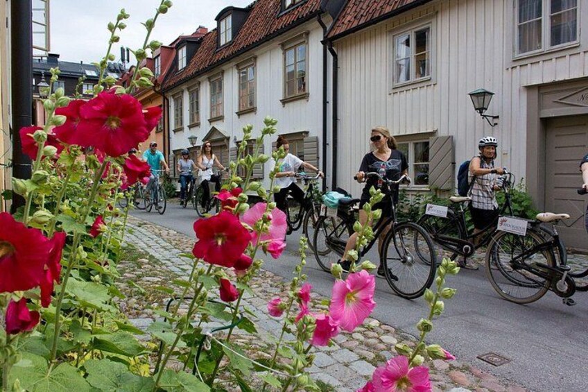 Cycling through Söder 3