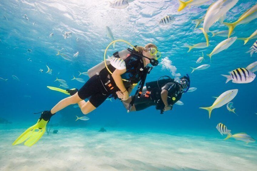 Zwei Taucher unter Wasser, umgeben von Fischen. 1