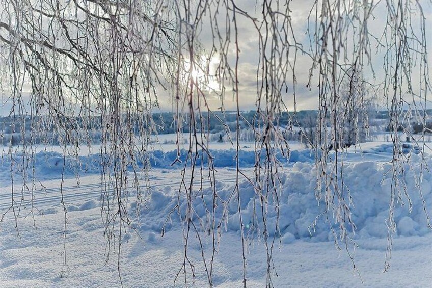 A snowy landscape with bare branches and a distant view of a hilly area. 5
