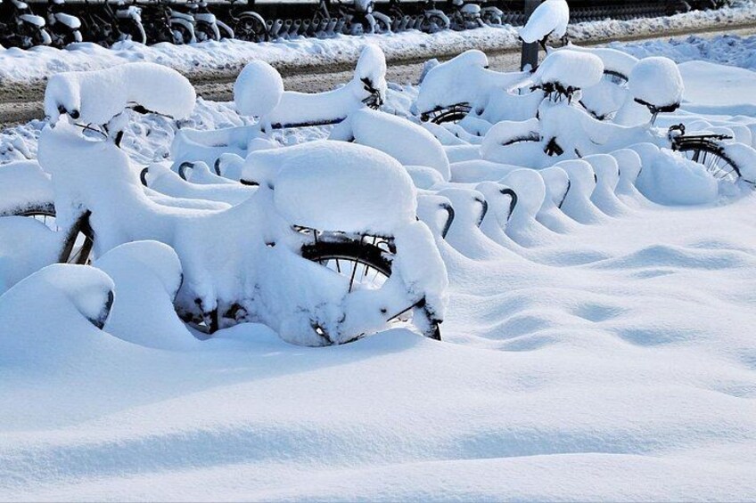 Snow-covered bicycles parked in a row. 3