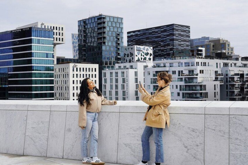 Oslo: Get Private City Tour with Guide & Driver by Luxury Minivan 2