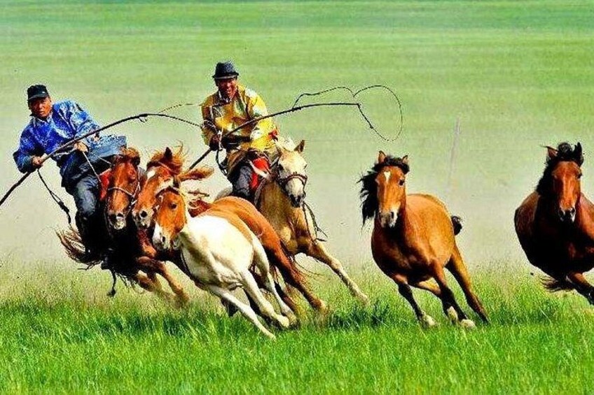 A group of people on horseback in a grassy field. 3
