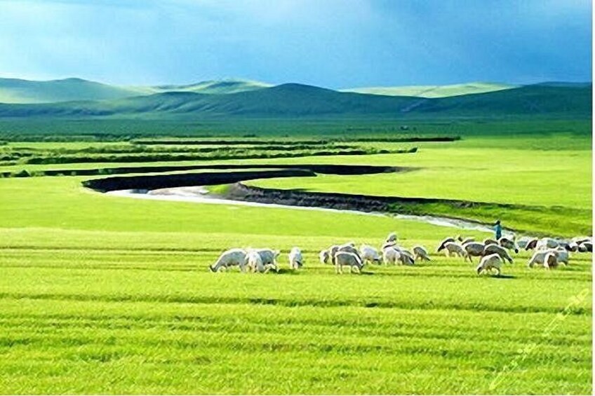 A green field with a herd of sheep grazing, rolling hills in the background, and a small water body. 4