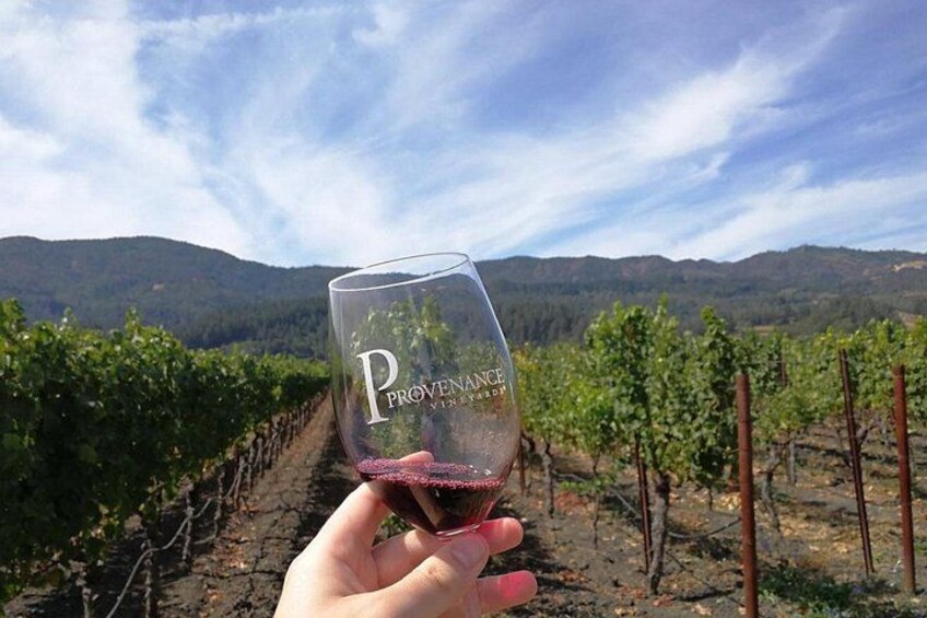 Santa Rosa North Sonoma County Small Group Winery Tour 4