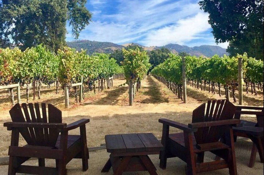 Small-Group Wine-Tasting Tour through North Sonoma County