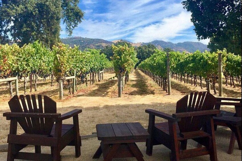 Santa Rosa North Sonoma County Small Group Winery Tour 1