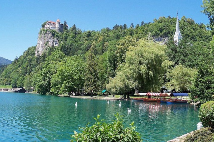 Lake Bled Half Day Excursion from Ljubljana 1