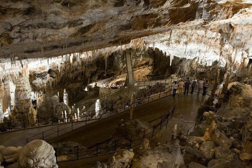 Una grotta con stalattiti e stalagmiti, un'area recintata e visitatori. 4