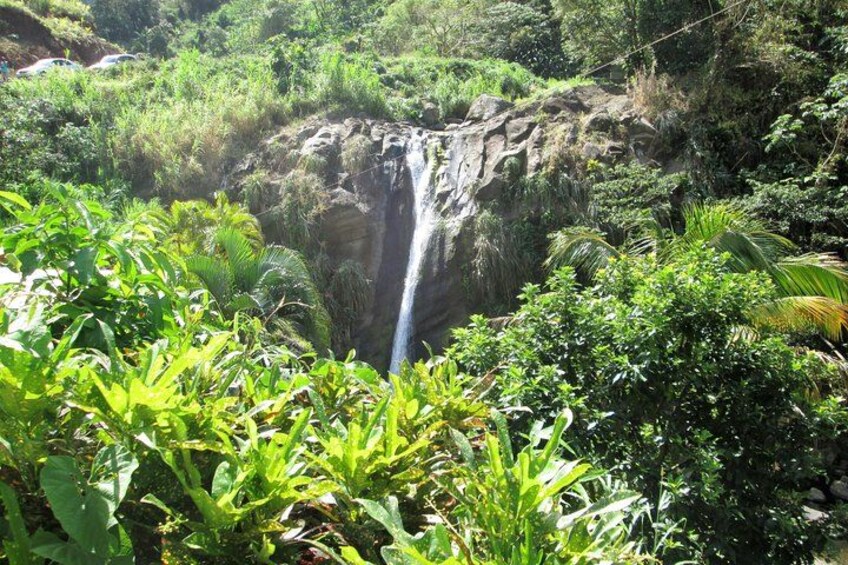 A waterfall surrounded by lush greenery. 3