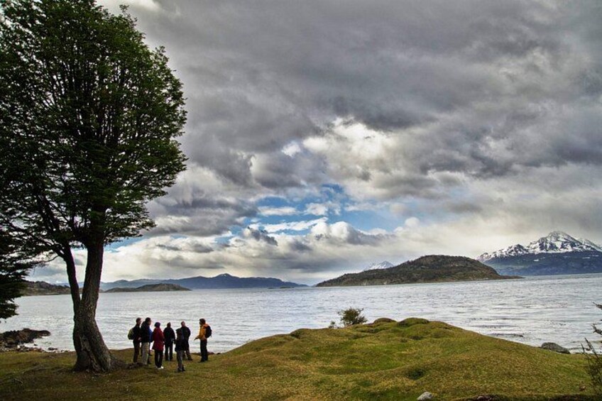 Un grupo de personas de pie junto a un lago, con un árbol y montañas al fondo. 5