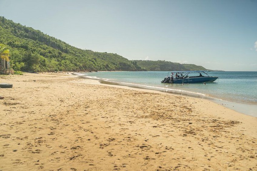 crocus bay 2