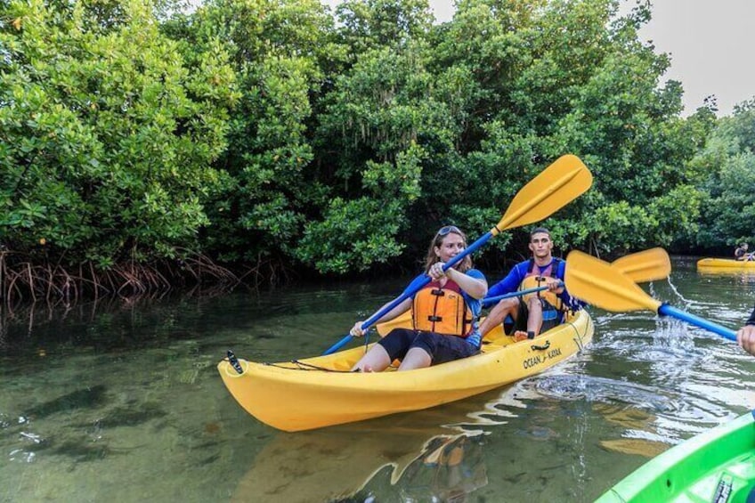 Two people kayaking in a yellow kayak on a river surrounded by dense mangrove trees. 2