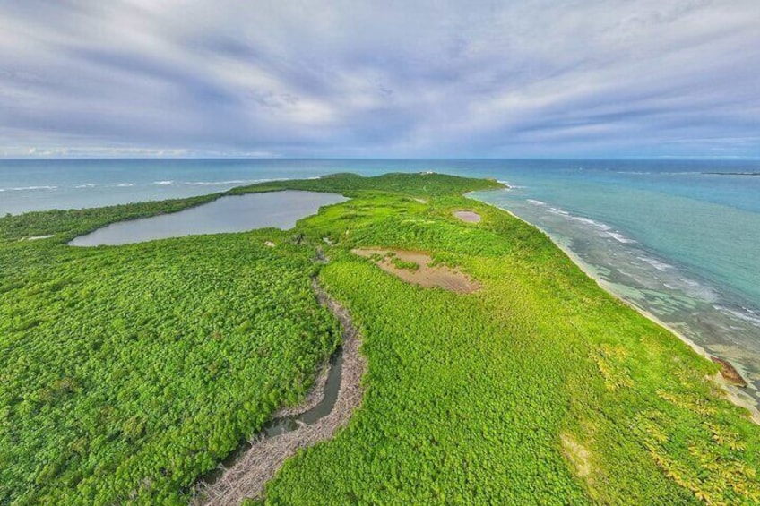 A coastal landscape with dense green vegetation, a winding path, and a body of water. 5