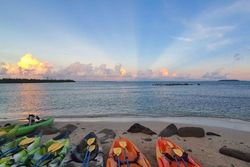 Bioluminescent Bay Night Kayaking from San Juan 6pm 1