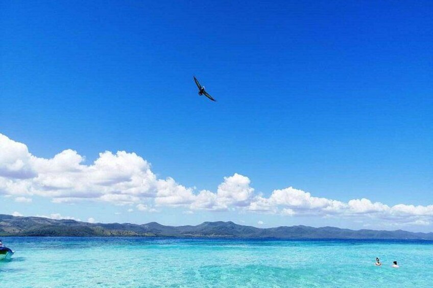 Paradise Island & Mangroves Tour 4