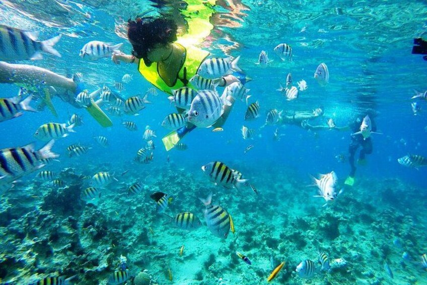 Una persona practica snorkel rodeada de un banco de peces en aguas azules cristalinas. 2