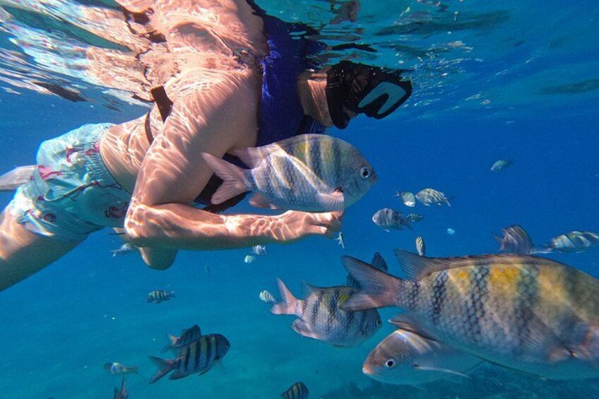 Puerto Plata Shore Excursion, Snorkeling tour & Sosua Beach Day 3