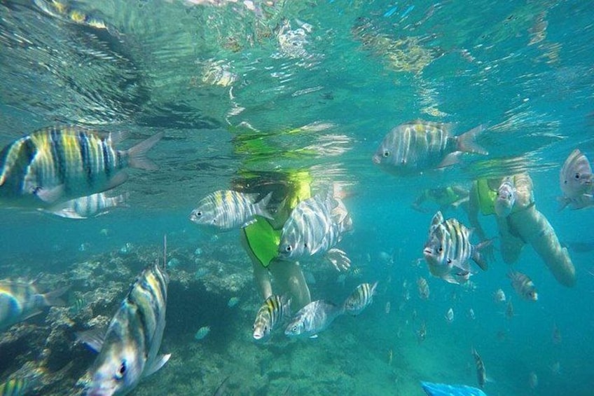 Discover Sosua's Underwater World & Beach Day 1