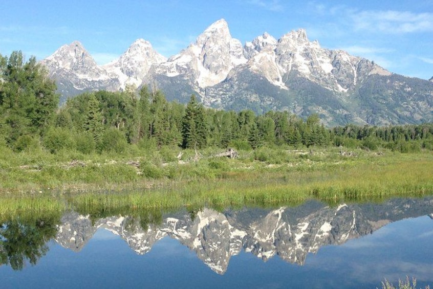 Yellowstone National Park - Full-Day Lower Loop Tour from Jackson 2