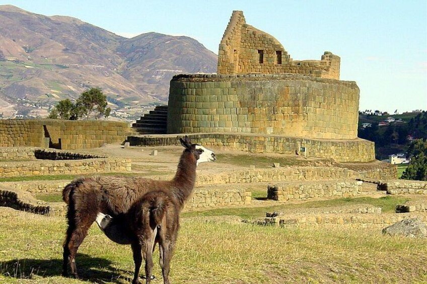 Private Devil's Nose Hike and Ingapirca Ruins Tour 2