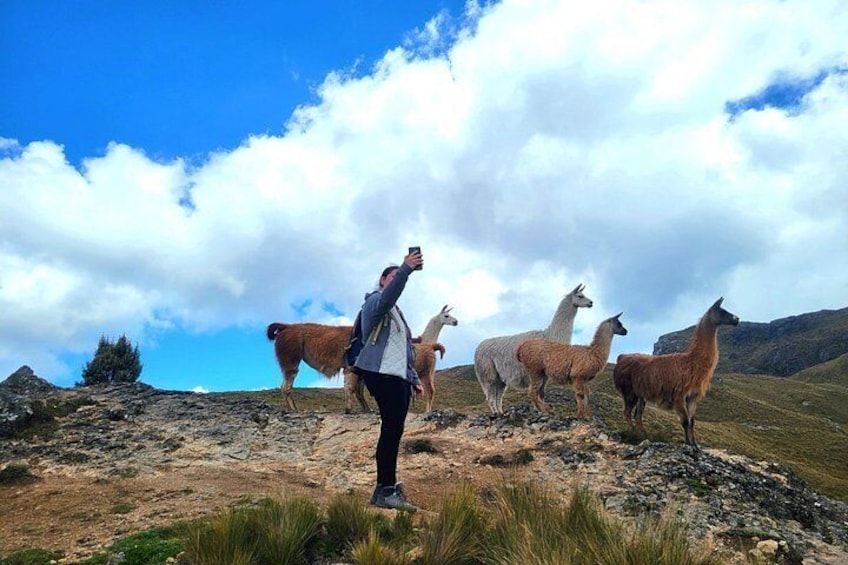 Cajas hiking tour 4