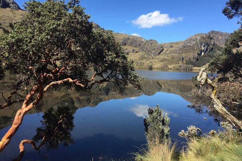 A calm lake with a tree reflection, surrounded by hills. 1