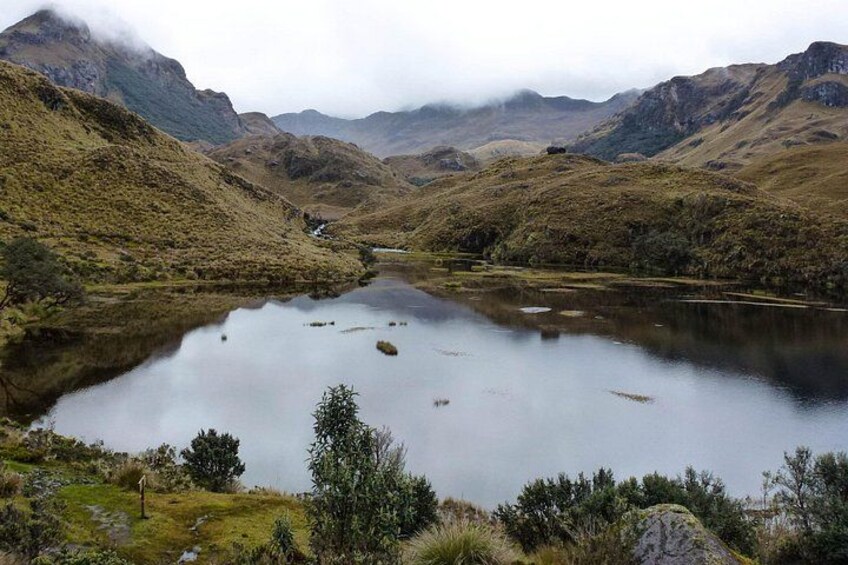 Andean Paramo 3