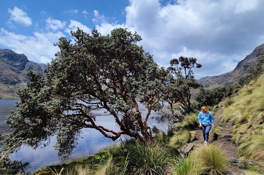 Cajas Unveiled: A Half-Day Escape from Cuenca 4