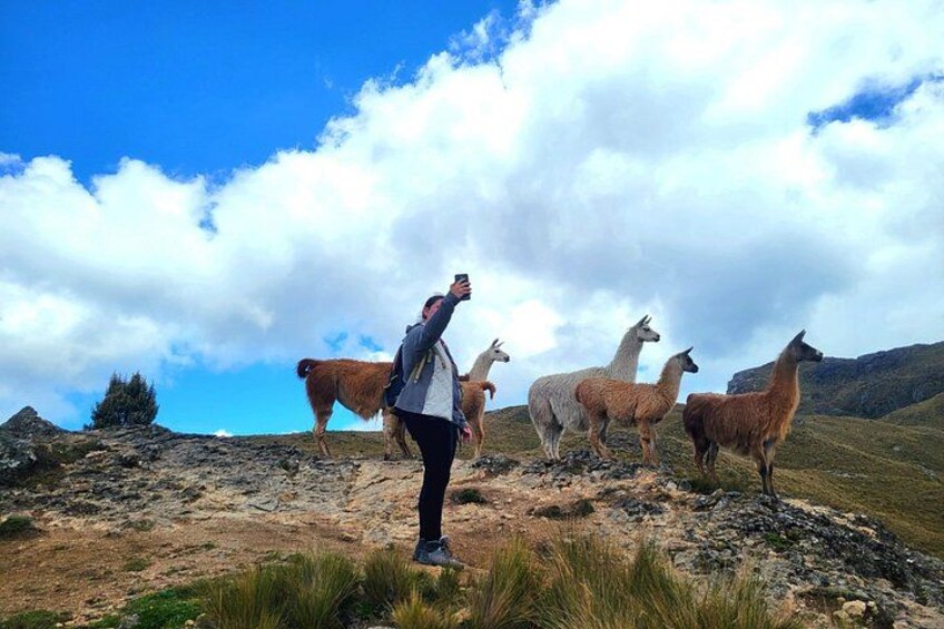 Cajas Unveiled: A Half-Day Escape from Cuenca 3