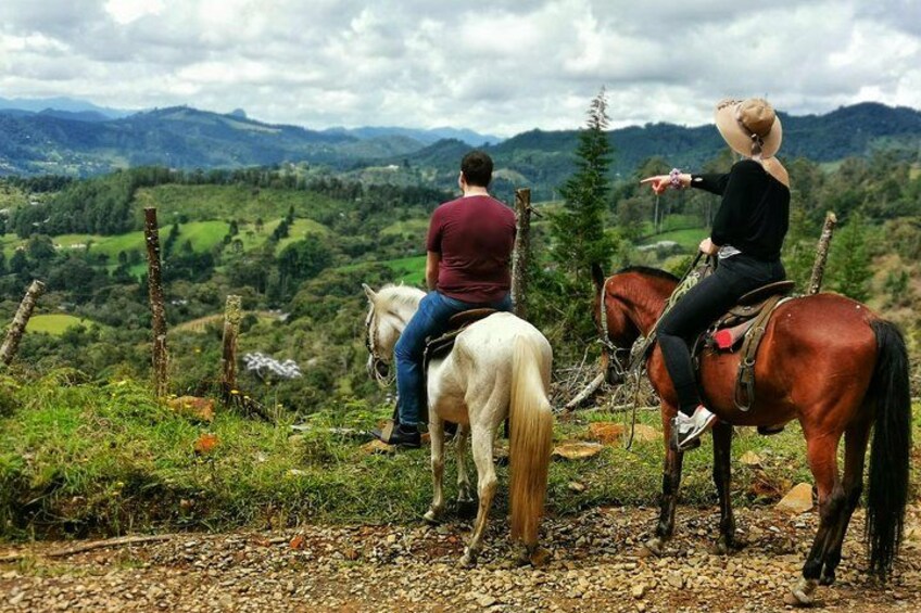 Horseback Riding in Medellin Private Tour: Great Views & Horses 2