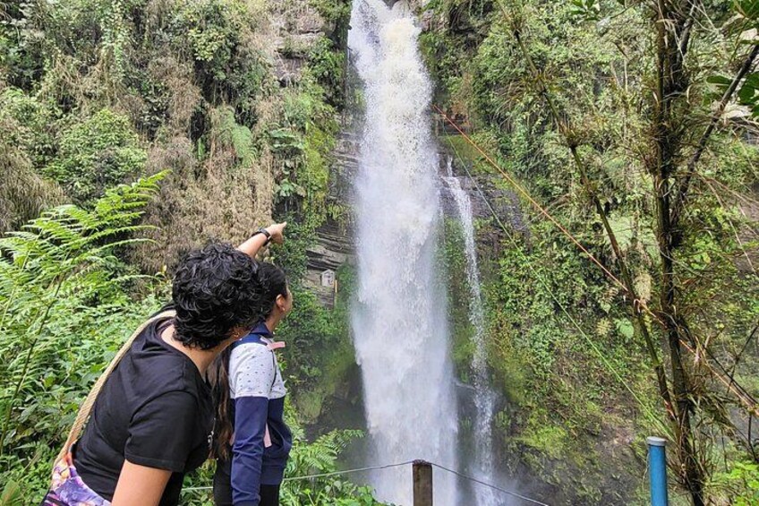 A waterfall in a lush, green forest. 3