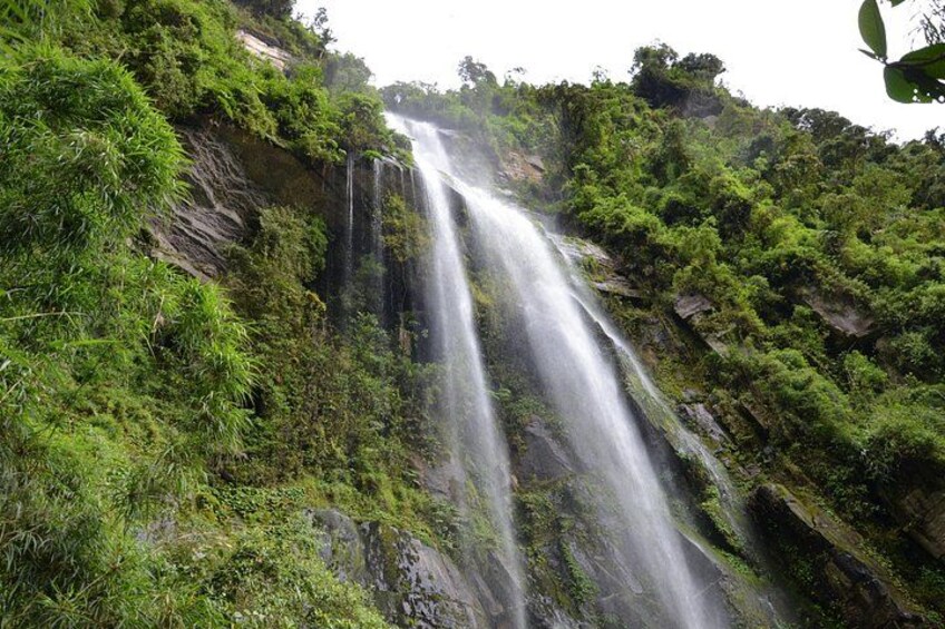A waterfall cascading down a rocky cliff surrounded by lush greenery. 5